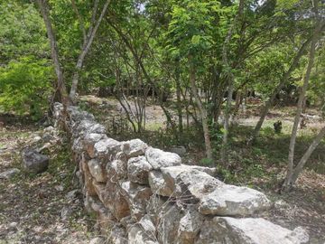 TERRENO EN VENTA EN BACA, YUCATÁN