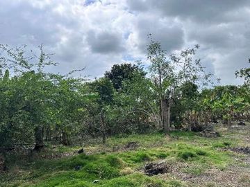 Venta de Terreno Urbano en Chone