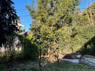 Casa - La Lonja