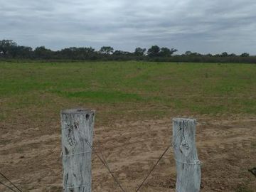 Campo en venta - Suncho Corral- Santiago del Estero