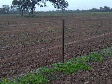 Campo en venta - Suncho Corral- Santiago del Estero