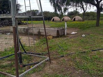 Campo en venta - Suncho Corral- Santiago del Estero