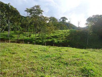 Venta finca Tarso - Suroeste Antioqueño