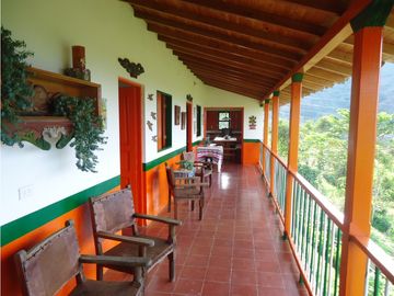 Venta finca Tarso - Suroeste Antioqueño