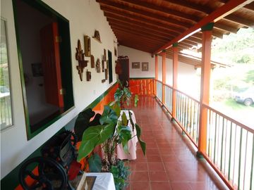 Venta finca Tarso - Suroeste Antioqueño