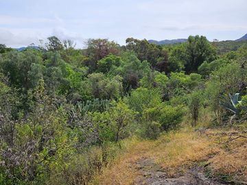 Terreno RESIDENCIAL MARFIL (para desarrollo habitacional)