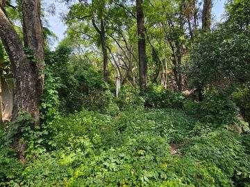 Terreno RESIDENCIAL MARFIL (para desarrollo habitacional)