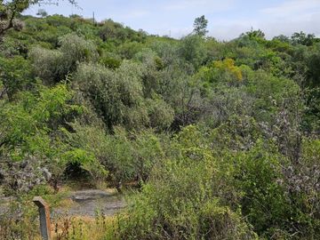 Terreno RESIDENCIAL MARFIL (para desarrollo habitacional)