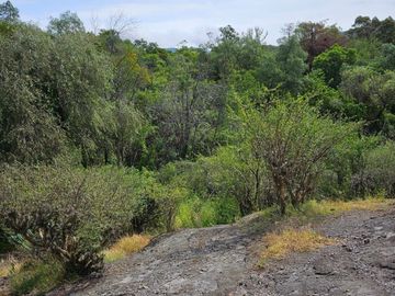 Terreno RESIDENCIAL MARFIL (para desarrollo habitacional)