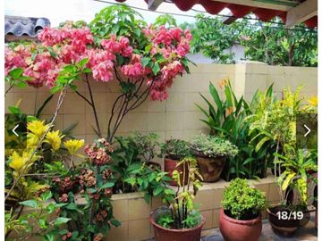 VENDO HERMOSA CASA UBICADISIMA PARAISO AREA 240 MTS  UNA PLANTA AMPIA