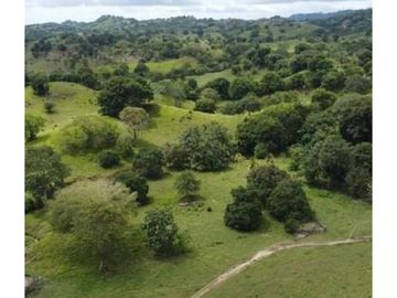 Finca en venta en Córdoba cerca de Montería