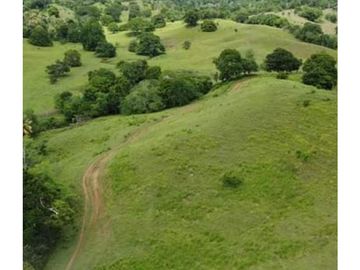 Finca en venta en Córdoba cerca de Montería