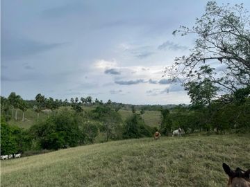 Finca en venta en Córdoba cerca de Montería