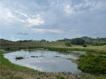 Finca en venta en Córdoba cerca de Montería