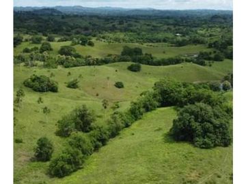 Finca en venta en Córdoba cerca de Montería
