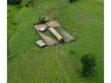 Finca en venta en Córdoba cerca de Montería