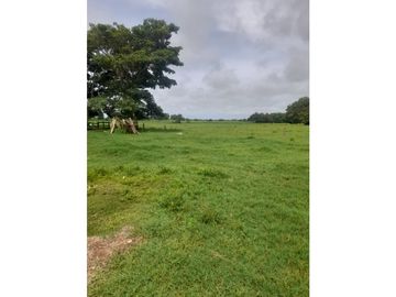 Finca en venta en Córdoba cerca de Montería