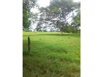 Finca en venta en Córdoba cerca de Montería