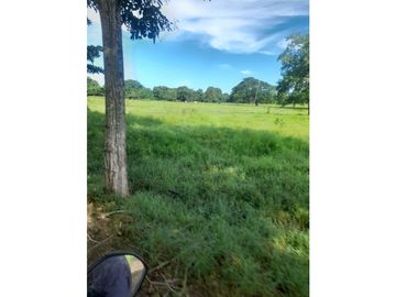 Finca en venta en Córdoba cerca de Montería