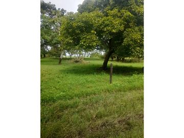 Finca en venta en Córdoba cerca de Montería