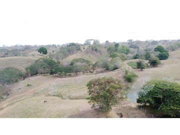 Finca en venta en los Córdobas  cerca de Monteria