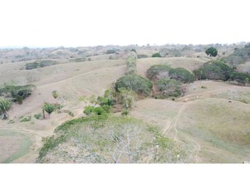 Finca en venta en los Córdobas  cerca de Monteria