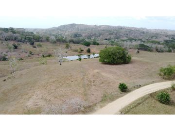 Finca en venta en los Córdobas  cerca de Monteria