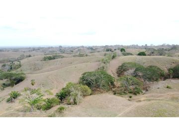 Finca en venta en los Córdobas  cerca de Monteria