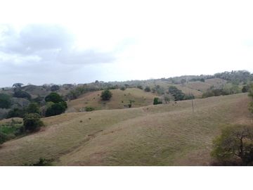 Finca en venta en los Córdobas  cerca de Monteria