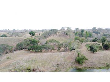 Finca en venta en los Córdobas  cerca de Monteria
