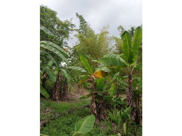VENTA GRAN TERRENO COLÓN 8,700M2 VILLA AQUILINA CV