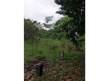 VENTA GRAN TERRENO COLÓN 8,700M2 VILLA AQUILINA CV