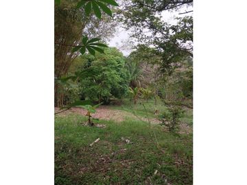 VENTA GRAN TERRENO COLÓN 8,700M2 VILLA AQUILINA CV