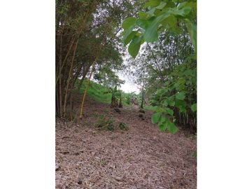 VENTA GRAN TERRENO COLÓN 8,700M2 VILLA AQUILINA CV