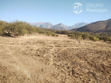 Agrícola en Venta en Llimpo