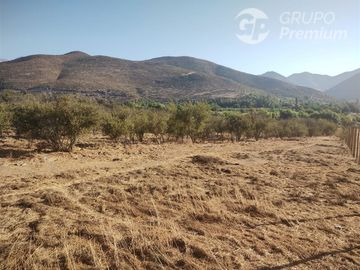 Agrícola en Venta en Llimpo