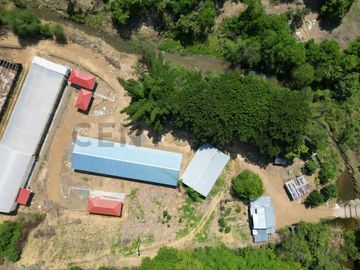 HACIENDA PRODUCTORA DE BIOMASA DE CBD