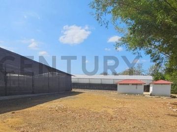 HACIENDA PRODUCTORA DE BIOMASA DE CBD