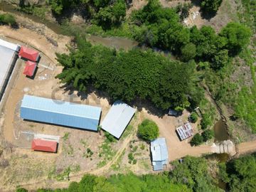HACIENDA PRODUCTORA DE BIOMASA DE CBD