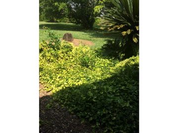 VENDO EN CALI CASA CAMPESTRE EN PANCE