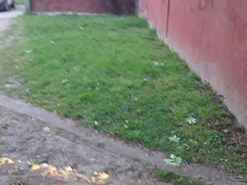 El Chelito casa en tortuguitas calle Lisandro de la Torre 4400