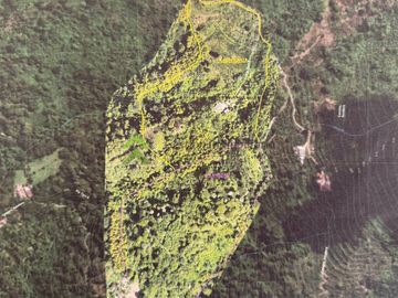 Finca cafetera en venta Buenavista Quindio 16 cuadras