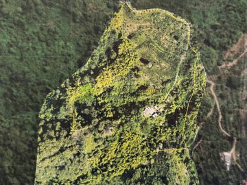 Finca cafetera en venta Buenavista Quindio 16 cuadras