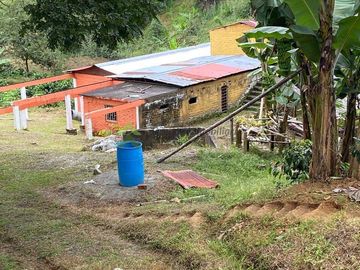 Se vende finca cafetera en Buenavista Quindío 16 cuadras