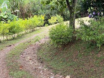 Se vende finca cafetera en Buenavista Quindío 16 cuadras