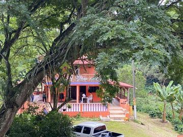 Se vende finca cafetera en Buenavista Quindío 16 cuadras