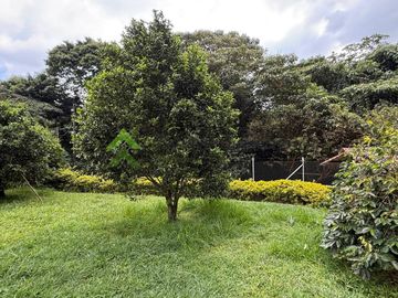 Finca pequeña en venta Circasia Quindio via Armenia