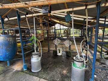 Finca ganadera en venta Circasia Quindío 15 cuadras LECHERIA