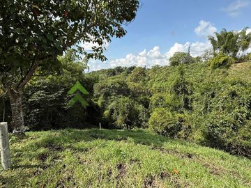 Finca ganadera en venta Circasia Quindío 15 cuadras LECHERIA