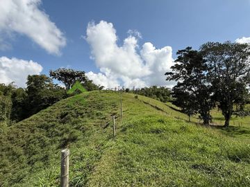 Finca ganadera en venta Circasia Quindío 15 cuadras LECHERIA